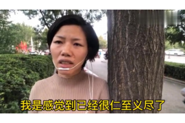 南宁企业清欠服务